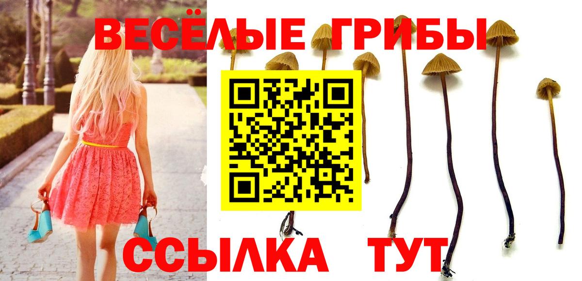 Псилоцибиновые грибы прущие грибы Отрадный